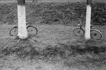 Nikola Devčić Mišo: KADA TE SVIJET&nbsp;IZNEVJERI