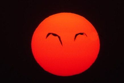 Ana Nikvul: Je l mi se čini il je noćas stvarno pun&nbsp;mesec